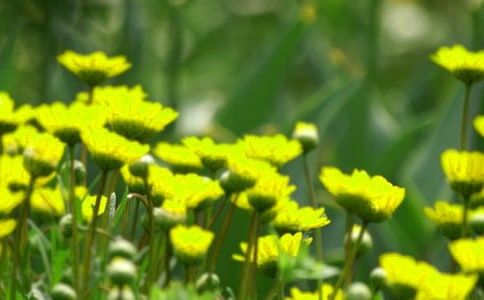  �����Ļ��������g(sh��)�̰�