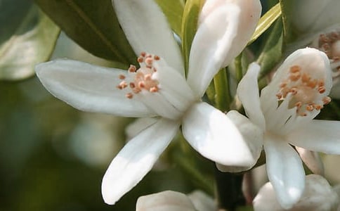 �_��ӛ����̎�Ļ�������(15ƪ)