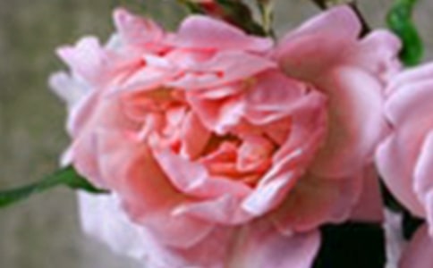 �ӏ������������B(y��ng)��ϣ��������