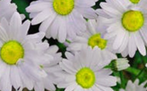 �_��ӛ����̎�Ļ�������