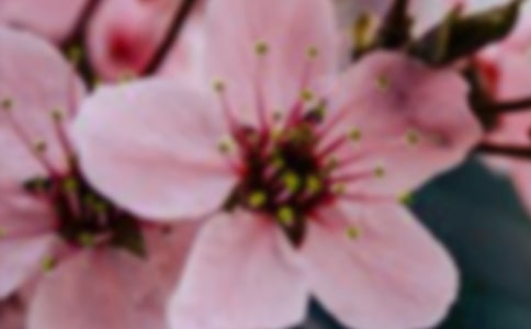 �_����̎�Ļ������ģ�ͨ��26ƪ��