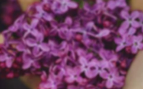 2024年形容花朵的句子22句