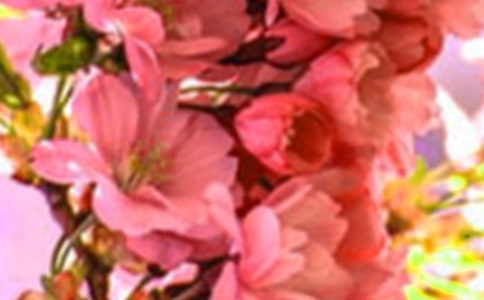 ��(j��ng)�仨�䃞(y��u)������44��