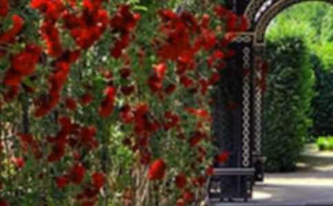 �ҼҵĻ��@��(y��u)������