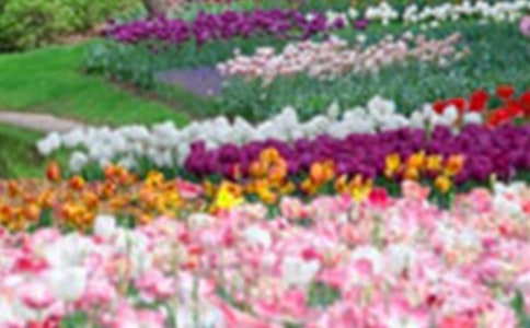 �ҵĻ��@����