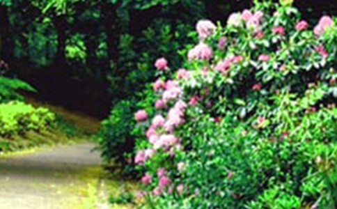 ���˵Ļ��@����(15ƪ)