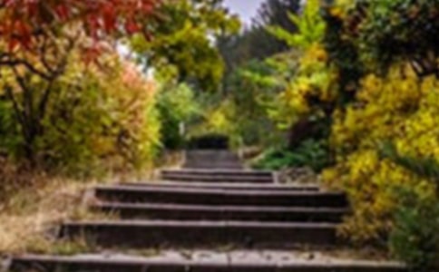 ������g(sh��)�����Ļ��@�̰�