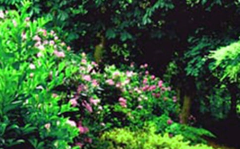 ���@С�W(xu��)������(15ƪ)