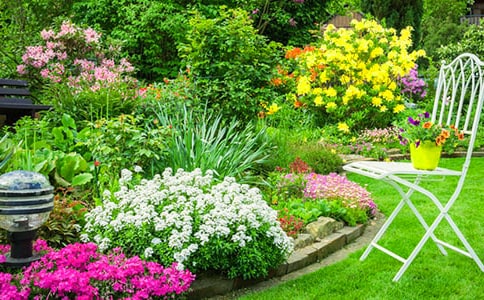 街心花園作文12篇