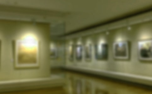 看畫展作文大全