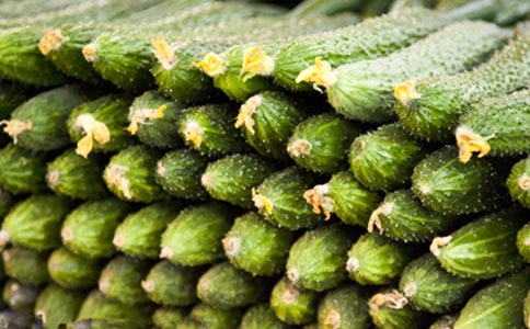 �S�σ�(y��u)������3ƪ(���x)