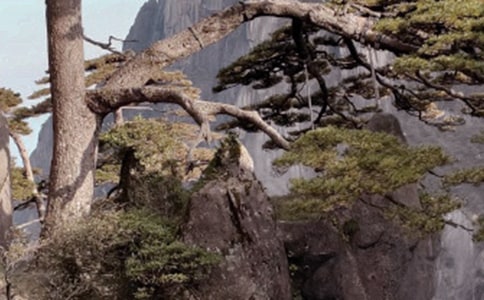 黃山游記作文【實(shí)用15篇】