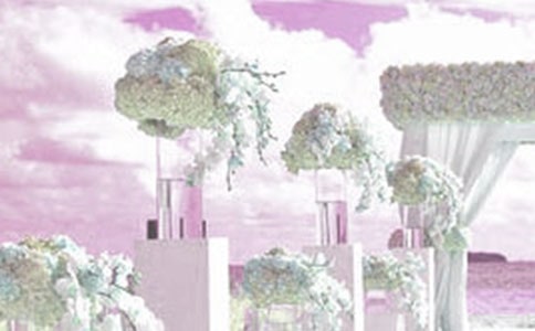 ���ӻ�YС�W(xu��)������