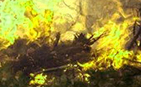 ���(z��i)��r��(b��o)��