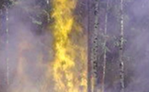 火災(zāi)處理情況報(bào)告