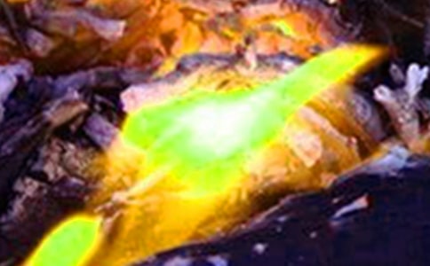 鄉(xiāng)鎮(zhèn)火災防控工作總結