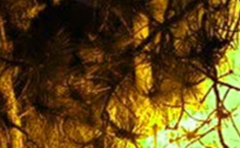 2004�갲�c�л��(z��i)�[���Ų����ι������Y(ji��)