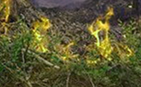 ��ķ��ع����R�� 