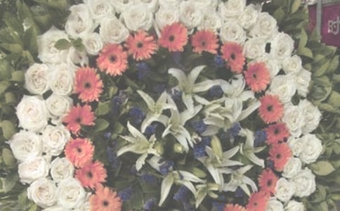 �����H�˵�Ԓ(hu��)����