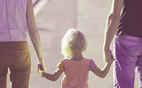 �x��������������x���������ļ�ͥ����Փ��