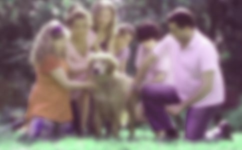 �׃��@��ͥ�����������Y(ji��)(���A15ƪ)