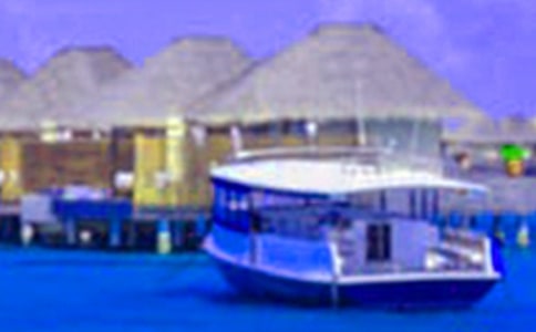 ���������(sh��)�`��(b��o)��15ƪ