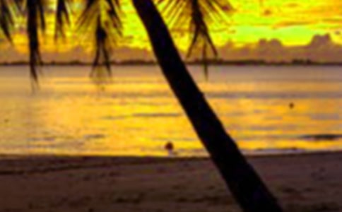 ���ڂ��˿��Y(ji��)(15ƪ)