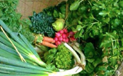 大學(xué)班級心理健康總結(jié)通用