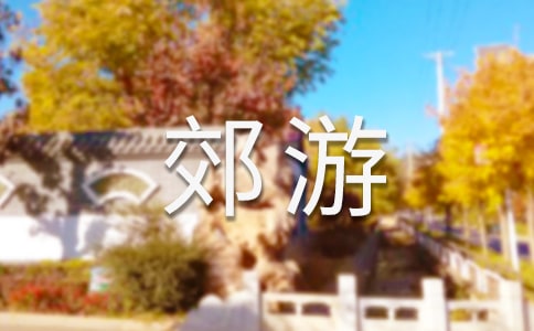 �P(gu��n)�ڽ�������