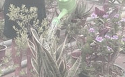 �������ģ����x31ƪ��