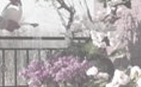 �P(gu��n)�ڝ�������