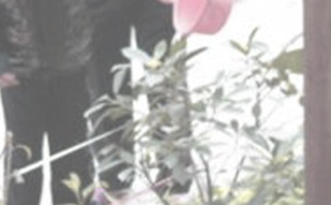 �P(gu��n)�����꼉�������ĺϼ�6ƪ