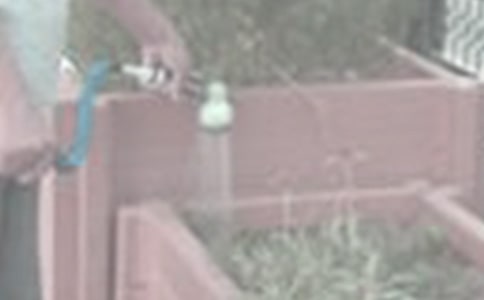 ������(y��u)������