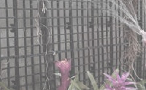 �P(gu��n)�ڝ�������ӛ��ͨ��26ƪ��