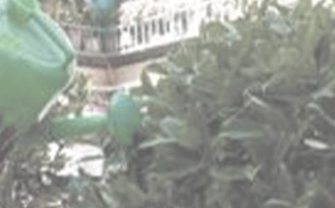 ����������(���T)