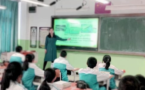 (精選)教學副校長述職述廉報告