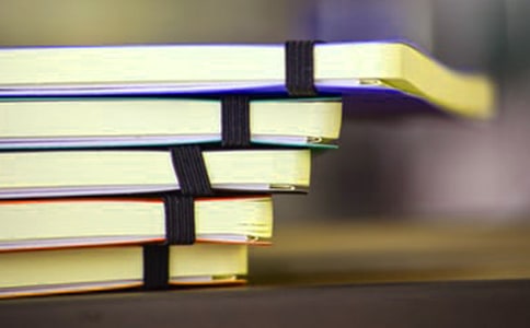 議論文:淺談小學數(shù)學教育