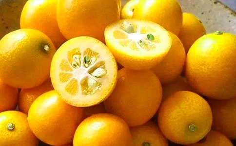 ����ۘ�ă�(y��u)�����ģ�ͨ��6ƪ��