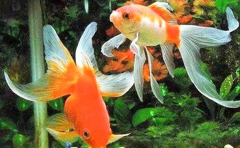 ���~Ԓ�}����