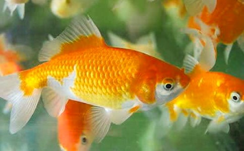 С�W(xu��)���^����ӛ���^����۽��~