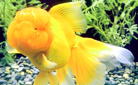 �^����~��ӛ