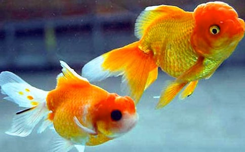 ���~�^������ͨ��15ƪ