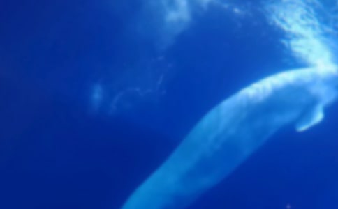 ������L�~_550��