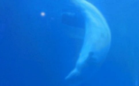 �L�~����������12ƪ