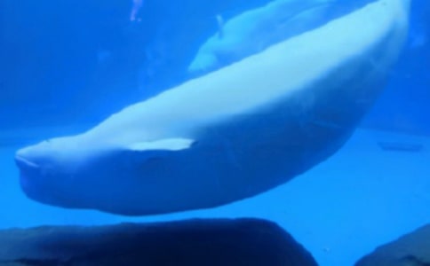 ���o�L�~����