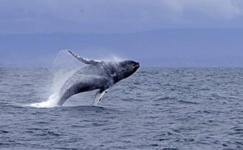 ���o�L�~���ģ����x24ƪ��