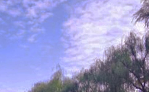 �茑������ɫ�ľ��ӣ����x200�䣩