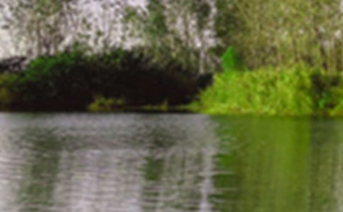 �����к���ɫ�ă�(y��u)�����ģ�ͨ��13ƪ��