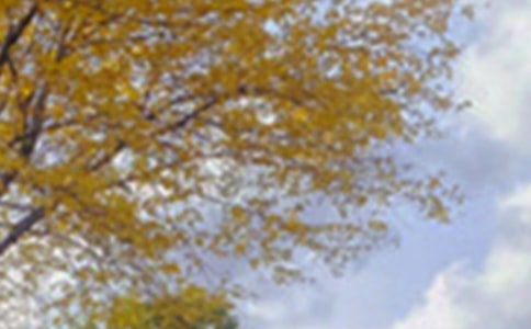 ���񹫈@�ľ�ɫ��(y��u)�����ģ�ͨ��10ƪ��