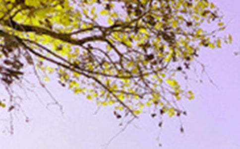 ɽ���P(gu��n)��ɫ��(y��u)�����ģ�ͨ��21ƪ��